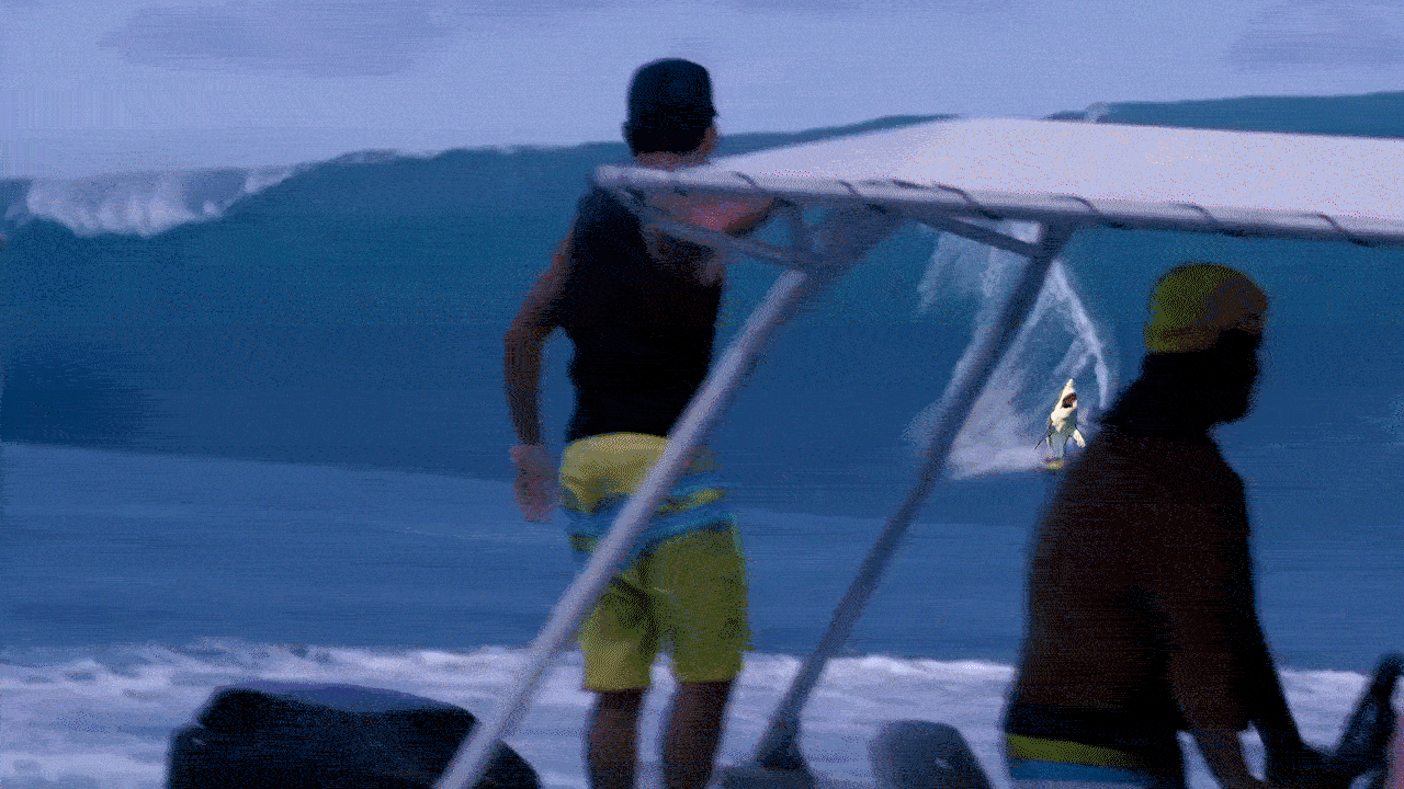 Gif de requins faisant du surf